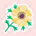 پیش‌نمایش فایل white-anemone-11483153 از پک گل