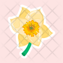 پیش‌نمایش فایل white-daffodil-11483150 از پک گل