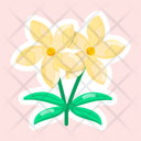 پیش‌نمایش فایل white-jasmine-11483141 از پک گل
