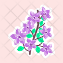 پیش‌نمایش فایل woodland-phlox-11483238 از پک گل