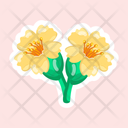 پیش‌نمایش فایل yarrow-11483187 از پک گل