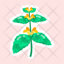 پیش‌نمایش فایل yellow-archangel-11483239 از پک گل