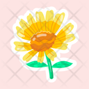 پیش‌نمایش فایل yellow-daisy-11483240 از پک گل