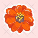 پیش‌نمایش فایل zinnia-peruviana-11483131 از پک گل