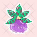 پیش‌نمایش فایل zygopetalum-11483243 از پک گل