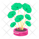 پیش‌نمایش فایل centella-asiatica-12046856 از پک استیکرهای گیاهان دارویی