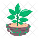 پیش‌نمایش فایل growing-herbs-12046826 از پک استیکرهای گیاهان دارویی