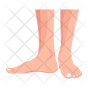 پیش‌نمایش فایل human-feet-12057601 از پک پاهای زنانه