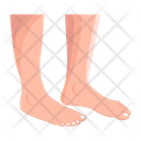 پیش‌نمایش فایل human-feet-12057607 از پک پاهای زنانه