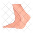 پیش‌نمایش فایل human-feet-12057617 از پک پاهای زنانه