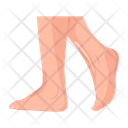 پیش‌نمایش فایل woman-feet-12057603 از پک پاهای زنانه