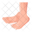 پیش‌نمایش فایل woman-feet-12057640 از پک پاهای زنانه