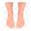 پیش‌نمایش فایل woman-soles-12057616 از پک پاهای زنانه