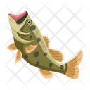 پیش‌نمایش فایل bass-animal-12100395 از پک ماهیگیری