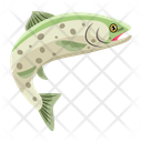 پیش‌نمایش فایل bass-animal-12100427 از پک ماهیگیری