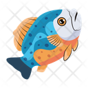 پیش‌نمایش فایل marlin-fish-12100426 از پک ماهیگیری