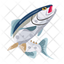 پیش‌نمایش فایل trout-12100397 از پک ماهیگیری