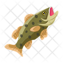 پیش‌نمایش فایل trout-12100422 از پک ماهیگیری