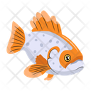 پیش‌نمایش فایل trout-12100436 از پک ماهیگیری