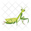 پیش‌نمایش فایل hunter-mantis-12086603 از پک آخوندک