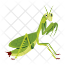 پیش‌نمایش فایل hunter-mantis-12086631 از پک آخوندک