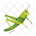 پیش‌نمایش فایل hunter-mantis-12086632 از پک آخوندک