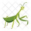 پیش‌نمایش فایل hunter-mantis-12086636 از پک آخوندک