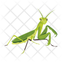 پیش‌نمایش فایل hunter-mantis-12086640 از پک آخوندک