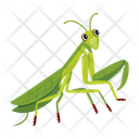 پیش‌نمایش فایل mantis-12086600 از پک آخوندک