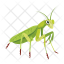 پیش‌نمایش فایل mantis-12086604 از پک آخوندک