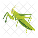 پیش‌نمایش فایل mantis-12086612 از پک آخوندک