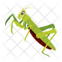 پیش‌نمایش فایل mantis-12086638 از پک آخوندک