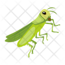 پیش‌نمایش فایل mantodea-12086605 از پک آخوندک