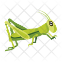 پیش‌نمایش فایل praying-mantis-12086614 از پک آخوندک