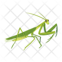 پیش‌نمایش فایل predator-bug-12086621 از پک آخوندک