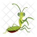 پیش‌نمایش فایل predator-bug-12086622 از پک آخوندک