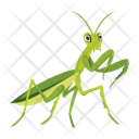 پیش‌نمایش فایل hunter-mantis-12077115 از پک آخوندک