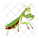 پیش‌نمایش فایل hunter-mantis-12077117 از پک آخوندک
