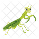 پیش‌نمایش فایل hunter-mantis-12077121 از پک آخوندک