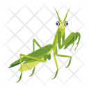پیش‌نمایش فایل mantis-12077086 از پک آخوندک
