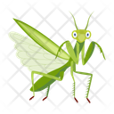پیش‌نمایش فایل mantis-12077094 از پک آخوندک