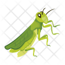 پیش‌نمایش فایل mantis-12077101 از پک آخوندک