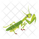 پیش‌نمایش فایل mantis-12077105 از پک آخوندک