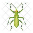پیش‌نمایش فایل mantis-12077108 از پک آخوندک
