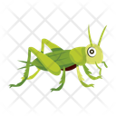 پیش‌نمایش فایل mantis-12077112 از پک آخوندک