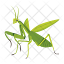 پیش‌نمایش فایل mantis-12077119 از پک آخوندک