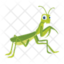 پیش‌نمایش فایل mantodea-12077084 از پک آخوندک
