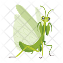 پیش‌نمایش فایل mantodea-12077122 از پک آخوندک