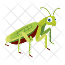پیش‌نمایش فایل praying-mantis-12077095 از پک آخوندک