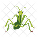پیش‌نمایش فایل praying-mantis-12077113 از پک آخوندک